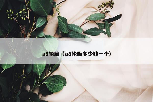 a8轮胎（a8轮胎多少钱一个）