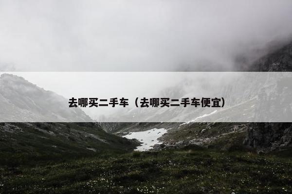去哪买二手车（去哪买二手车便宜）