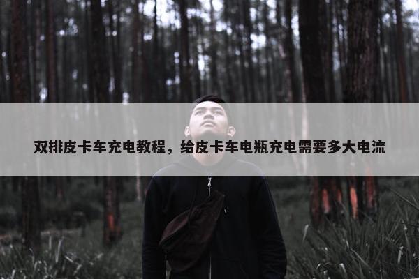 双排皮卡车充电教程，给皮卡车电瓶充电需要多大电流