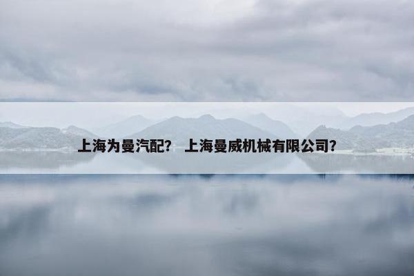 上海为曼汽配？ 上海曼威机械有限公司？