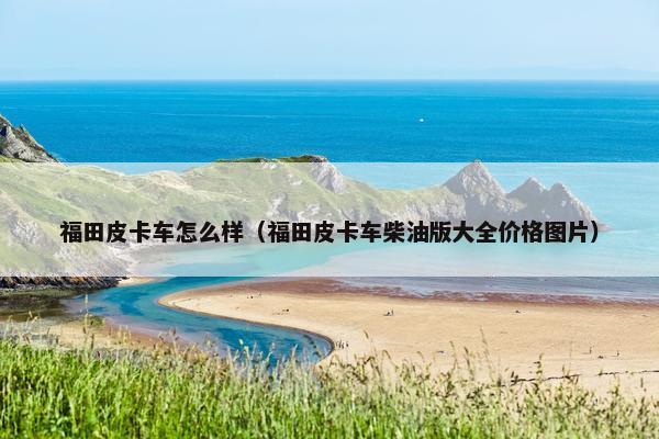 福田皮卡车怎么样（福田皮卡车柴油版大全价格图片）