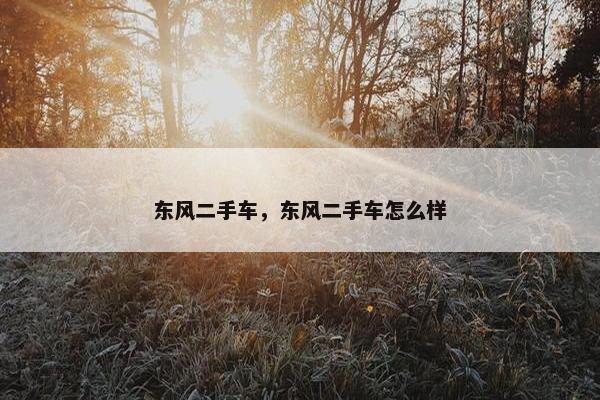 东风二手车，东风二手车怎么样