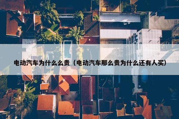 电动汽车为什么么贵（电动汽车那么贵为什么还有人买）