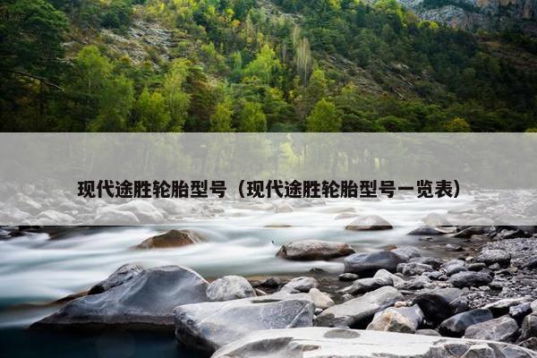 现代途胜轮胎型号（现代途胜轮胎型号一览表）