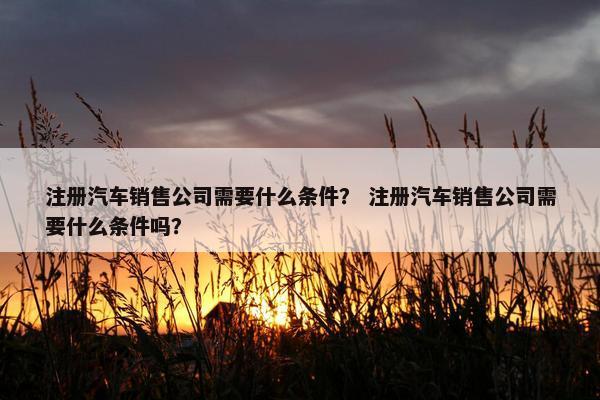 注册汽车销售公司需要什么条件？ 注册汽车销售公司需要什么条件吗？