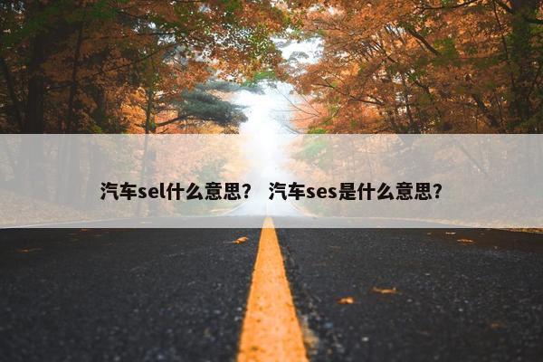 汽车sel什么意思？ 汽车ses是什么意思？
