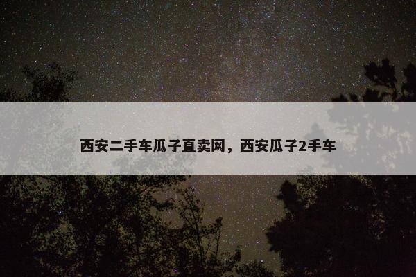 西安二手车瓜子直卖网，西安瓜子2手车