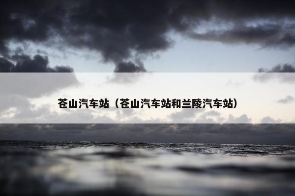 苍山汽车站（苍山汽车站和兰陵汽车站）