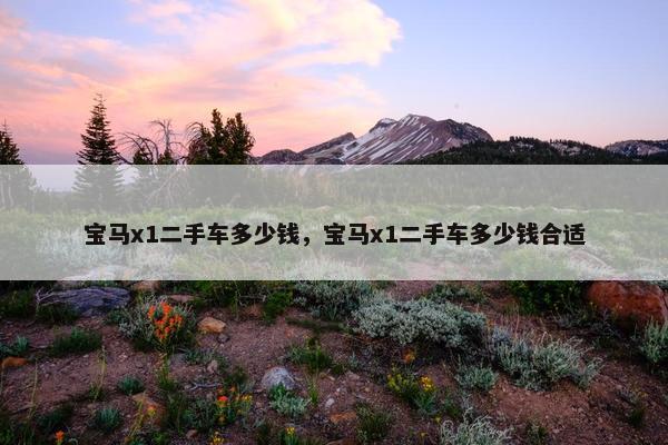 宝马x1二手车多少钱，宝马x1二手车多少钱合适