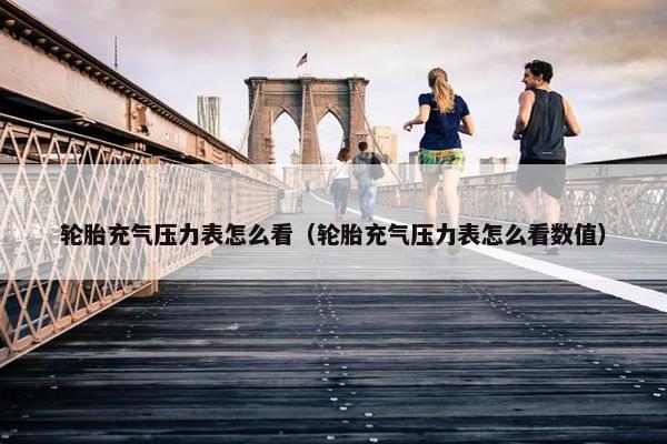 轮胎充气压力表怎么看（轮胎充气压力表怎么看数值）