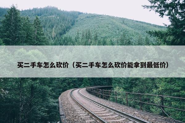 买二手车怎么砍价（买二手车怎么砍价能拿到最低价）