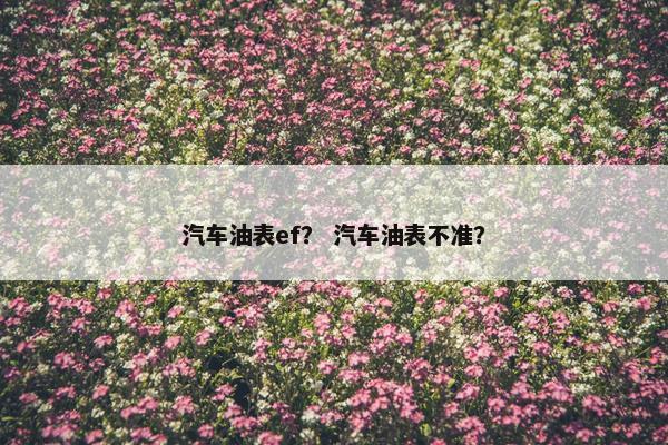 汽车油表ef？ 汽车油表不准？