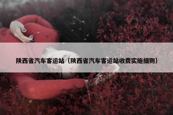 陕西省汽车客运站（陕西省汽车客运站收费实施细则）