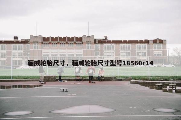 骊威轮胎尺寸，骊威轮胎尺寸型号18560r14