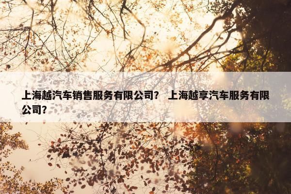 上海越汽车销售服务有限公司？ 上海越享汽车服务有限公司？