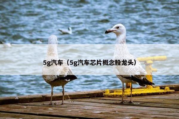 5g汽车（5g汽车芯片概念股龙头）