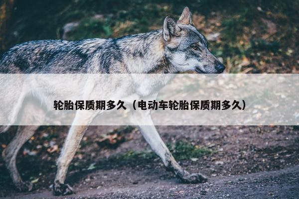 轮胎保质期多久（电动车轮胎保质期多久）