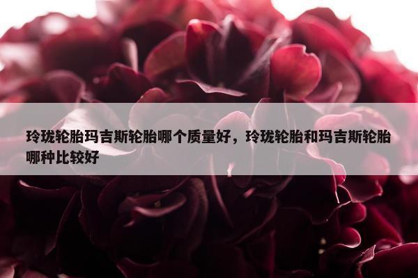 玲珑轮胎玛吉斯轮胎哪个质量好，玲珑轮胎和玛吉斯轮胎哪种比较好
