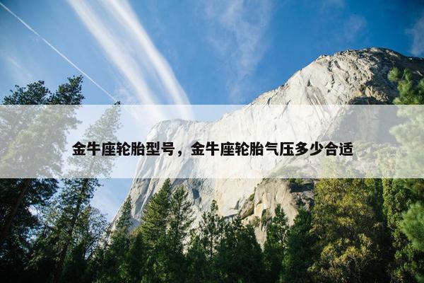 金牛座轮胎型号，金牛座轮胎气压多少合适