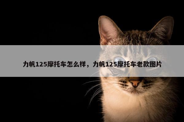 力帆125摩托车怎么样，力帆125摩托车老款图片