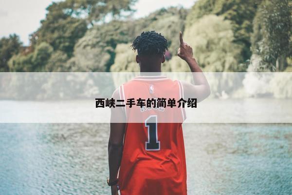 西峡二手车的简单介绍