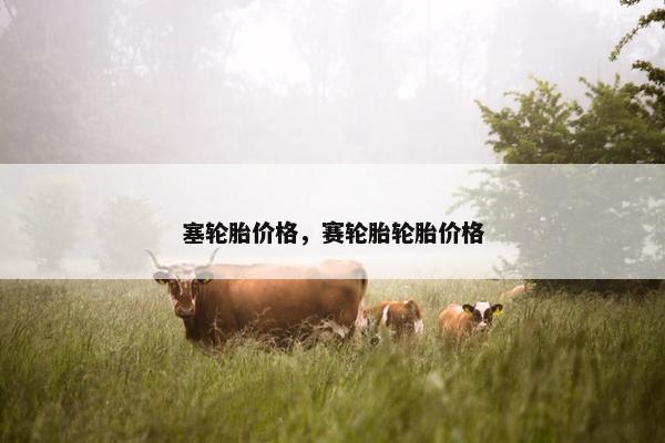 塞轮胎价格，赛轮胎轮胎价格