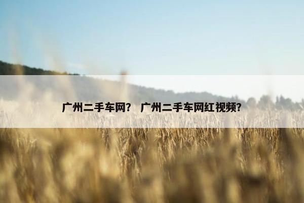 广州二手车网？ 广州二手车网红视频？