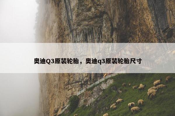 奥迪Q3原装轮胎，奥迪q3原装轮胎尺寸