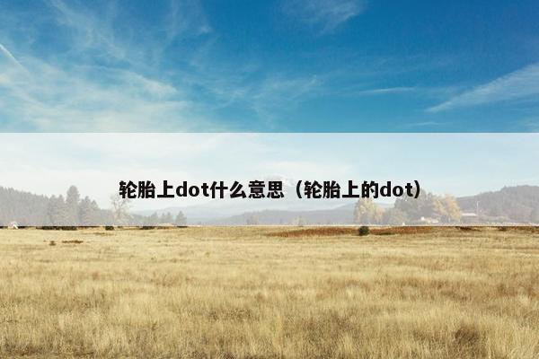 轮胎上dot什么意思（轮胎上的dot）