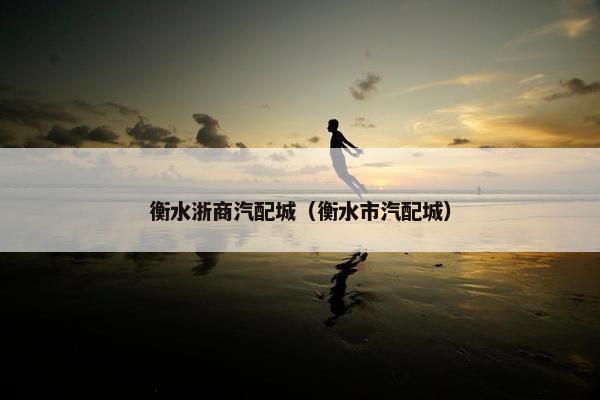 衡水浙商汽配城（衡水市汽配城）