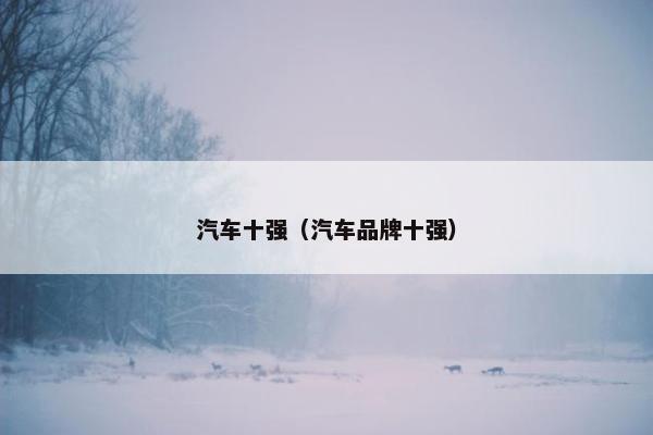 汽车十强（汽车品牌十强）