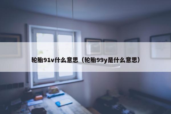 轮胎91v什么意思（轮胎99y是什么意思）