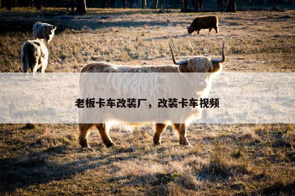 老板卡车改装厂，改装卡车视频