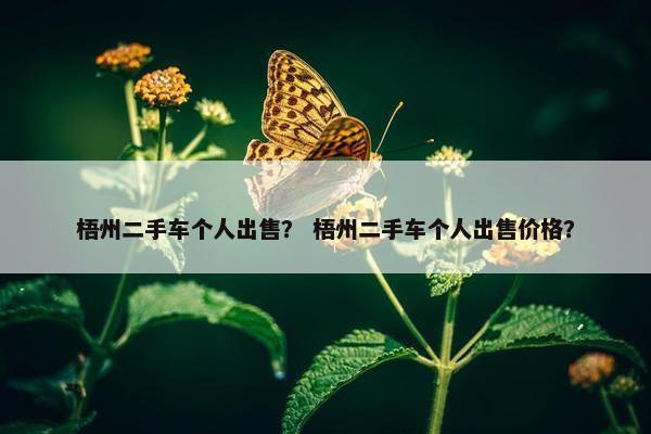 梧州二手车个人出售？ 梧州二手车个人出售价格？