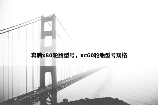 奔腾x80轮胎型号，xc60轮胎型号规格