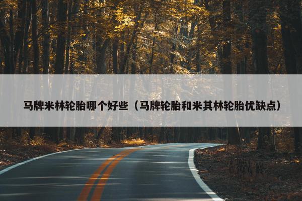 马牌米林轮胎哪个好些（马牌轮胎和米其林轮胎优缺点）