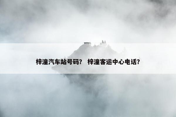 梓潼汽车站号码？ 梓潼客运中心电话？