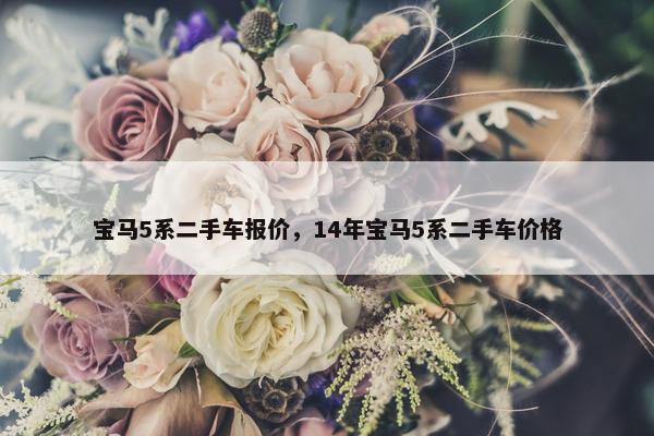 宝马5系二手车报价，14年宝马5系二手车价格