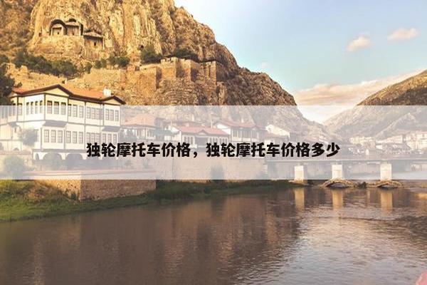 独轮摩托车价格，独轮摩托车价格多少