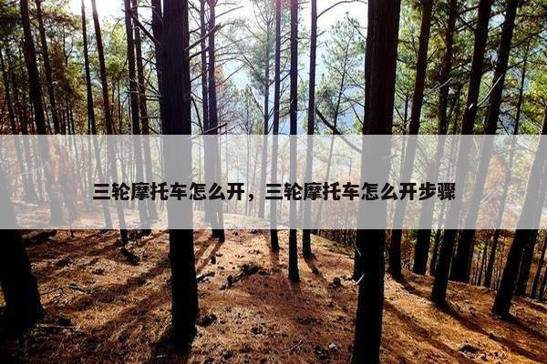 三轮摩托车怎么开，三轮摩托车怎么开步骤