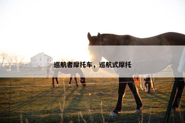 巡航者摩托车，巡航式摩托