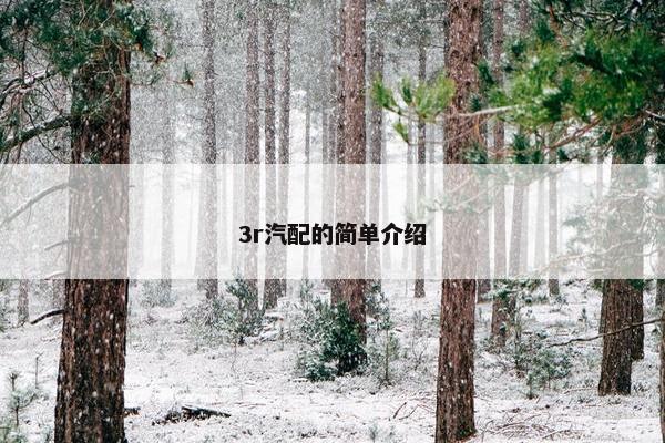 3r汽配的简单介绍