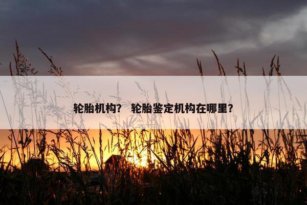 轮胎机构？ 轮胎鉴定机构在哪里？