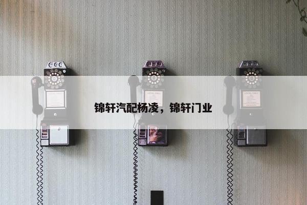 锦轩汽配杨凌，锦轩门业