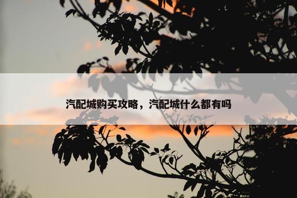 汽配城购买攻略，汽配城什么都有吗