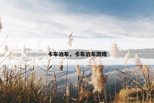 卡车泊车，卡车泊车游戏