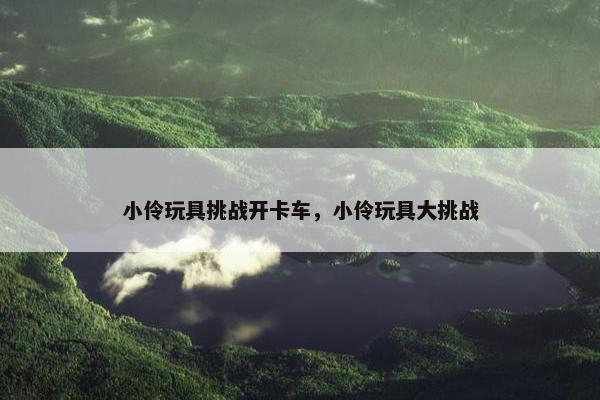 小伶玩具挑战开卡车，小伶玩具大挑战