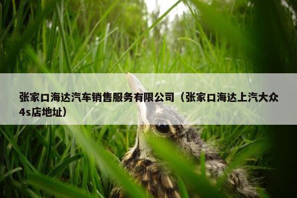 张家口海达汽车销售服务有限公司（张家口海达上汽大众4s店地址）