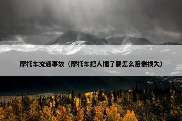 摩托车交通事故（摩托车把人撞了要怎么赔偿损失）