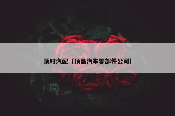 顶时汽配（顶昌汽车零部件公司）